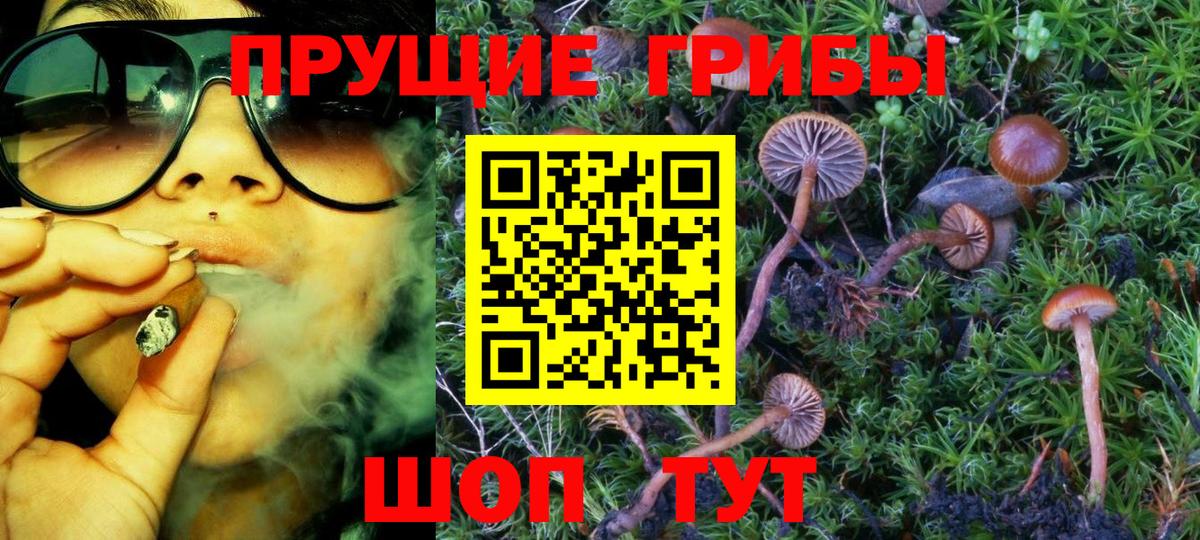 Псилоцибиновые грибы MAGIC MUSHROOMS Иваново